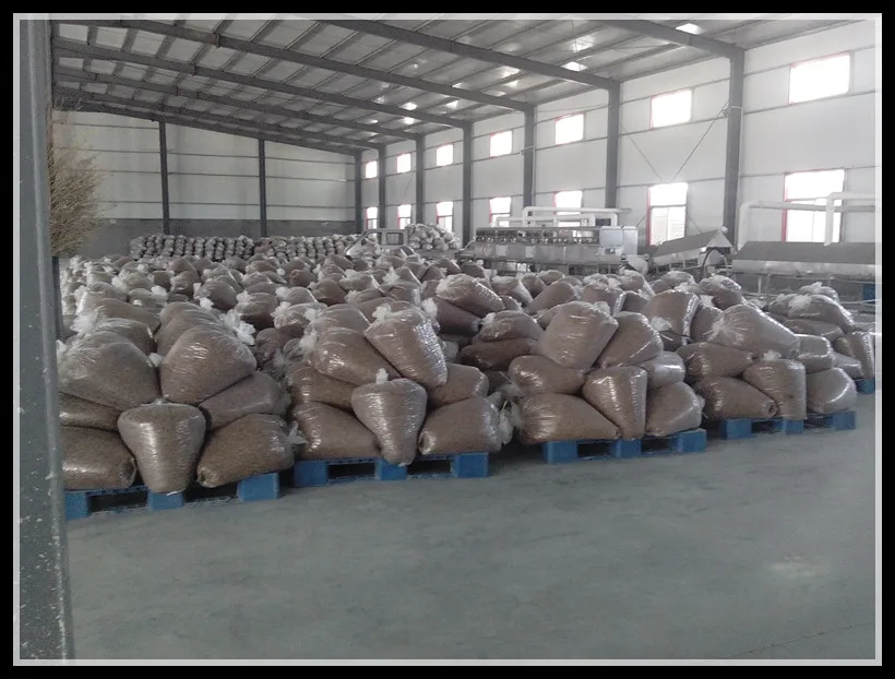 
China wholesale package in bags or cans microwaved dry mealworms 