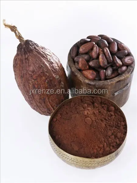Premium grade high fat Natural cocoa powder 20-22