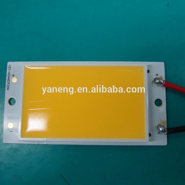 
10W 20W 30W 50W 100W 200W Positive white Round COB LED Light Spider Cob LED Grow Light LED Corn Cob Light Lamp Bulb DC 12V 