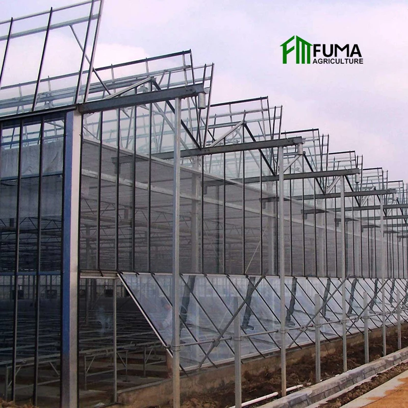Многопролетные кратным green house в сельском хозяйстве гидропоники agricole стекло сер теплица на продажу