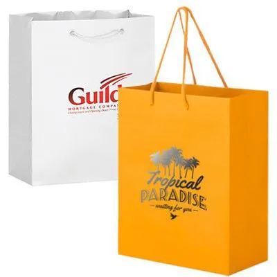 
Factory Price Printed Custom Glossy Laminated Shopping Paper Bags with handle and your logo 