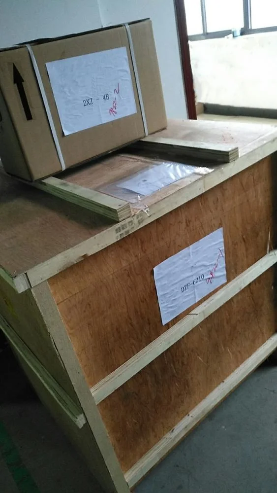 7.8cuft vacuum purge oven with led inside the door