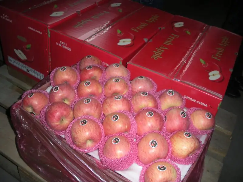 Fresh Fuji Apple