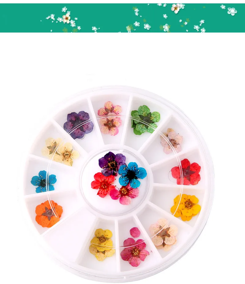 2018 12 видов цветов сушеные цветы, 3D украшения, наклейки для ногтей для маникюрного салона, «сделай сам»