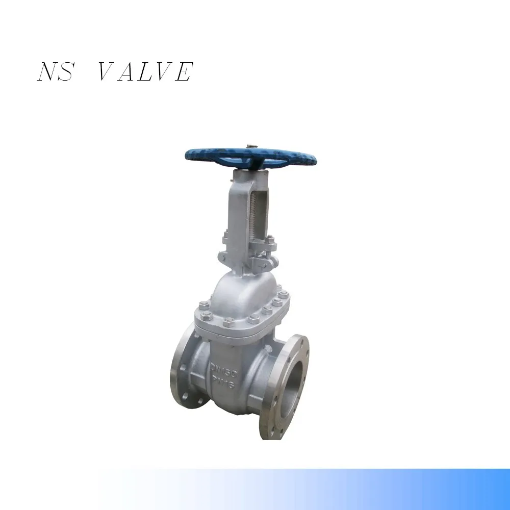 
WCB SS304 SS316 ASME B16.5 Calss300 Flanged Gate valve 