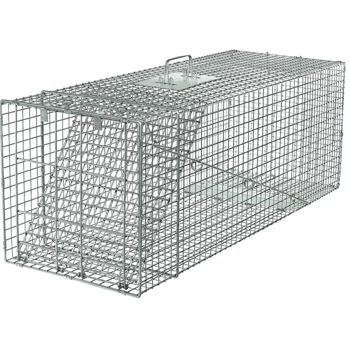 Professional One Door Racoon Trap  Large Live Animal Trap