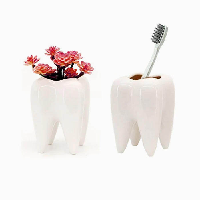 Ceramic Succulent Plant Pots with Tooth Shape
