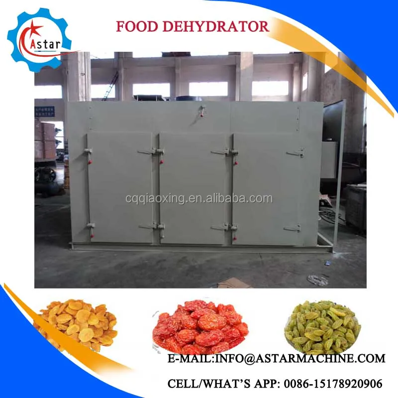 Cheap machine to dry fruit/fruits dryer