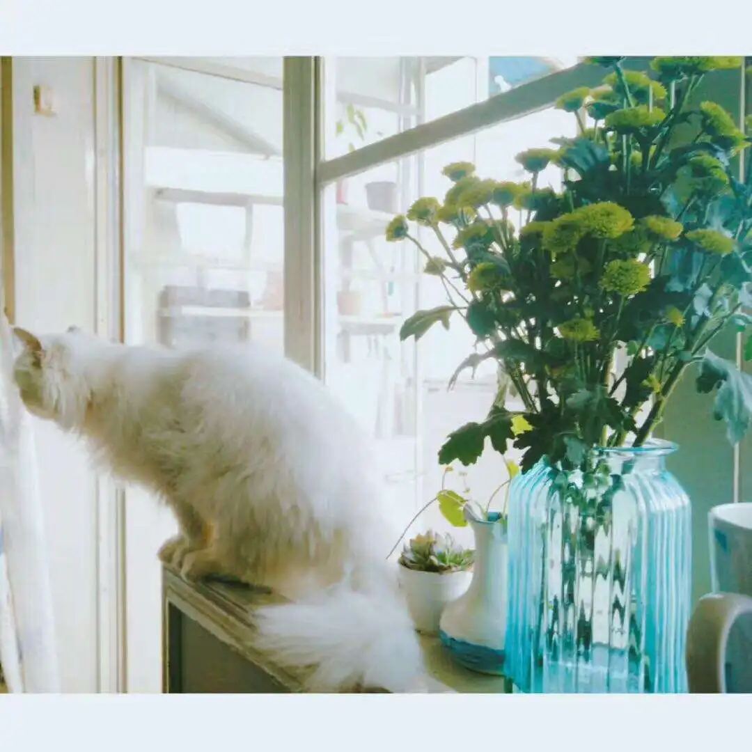 testNewSmartEditorPost