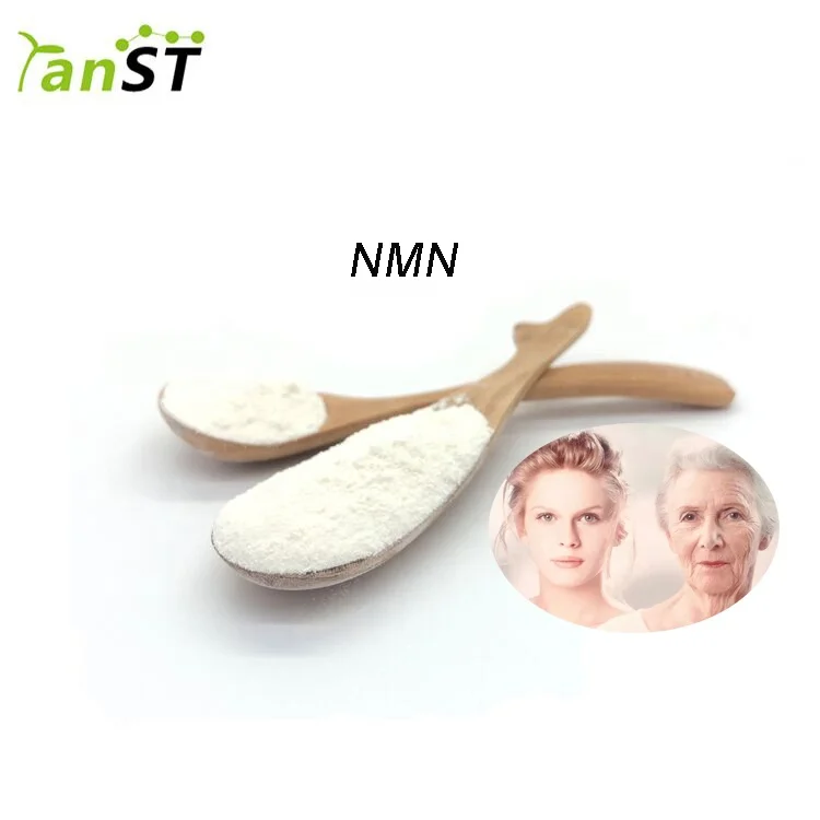 
Supply free sample Anti-Aging NMN Beta-NMN and Nicotinamide Mononucleotide 