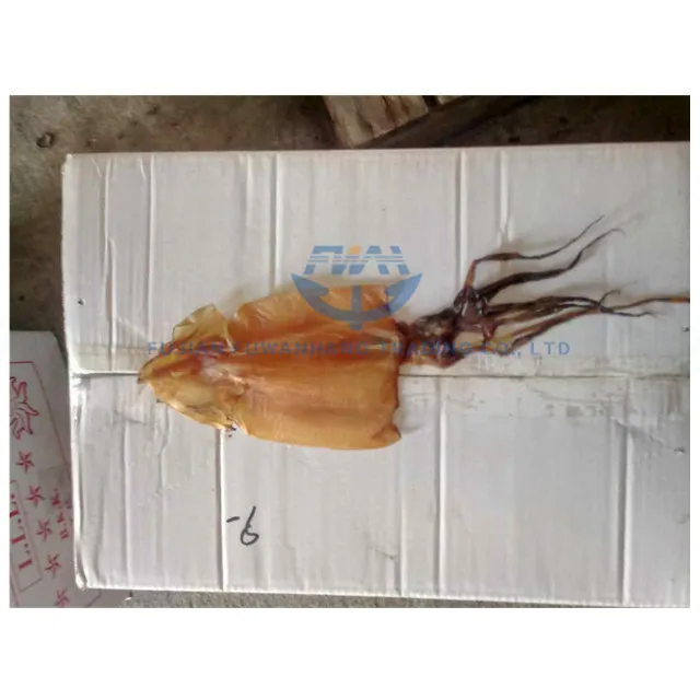 
Dry process dried giant squid 