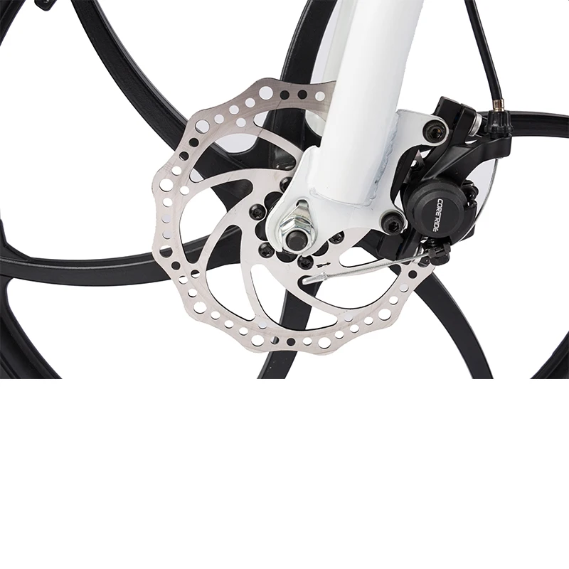 High quality 20 inch 250W foldingble electric bicycle foldable with LCD display