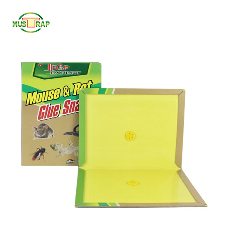 Hot Sale Easy Set Strong Viscous Paper Board Rat Rraps Cheap Mouse trap