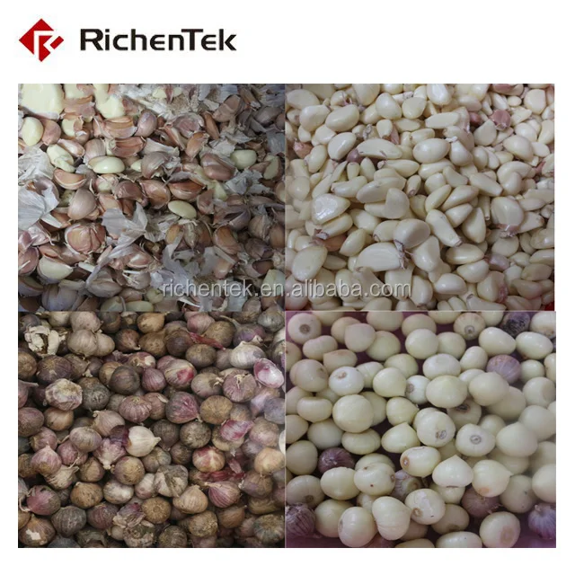 Richentek Garlic Processing Line Includes Garlic Separating Peeling Machine