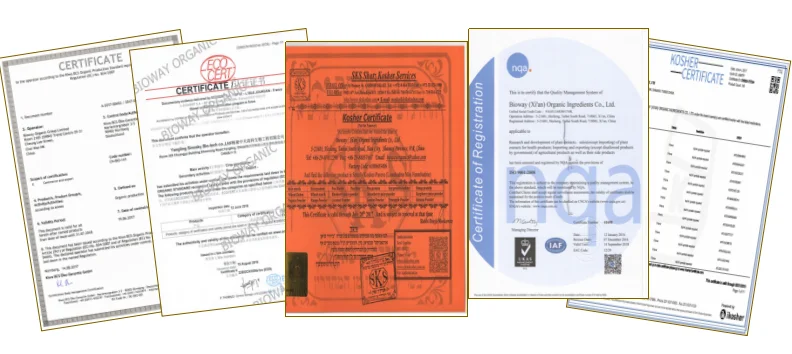 
High quality 2018 best selling Competitive Price Organic Pea Protein 