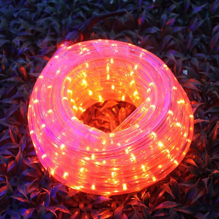 
Economical Custom Design Waterproof Led Rope Light Series Color Changing Led Rope Light 