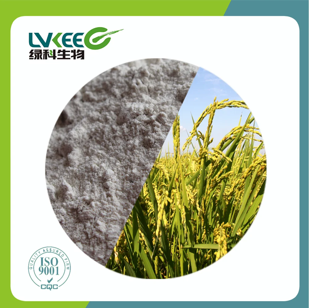 Organic fertilizer Bio phosphorus soluble bacteria Bacillus Megaterium for Agriculture