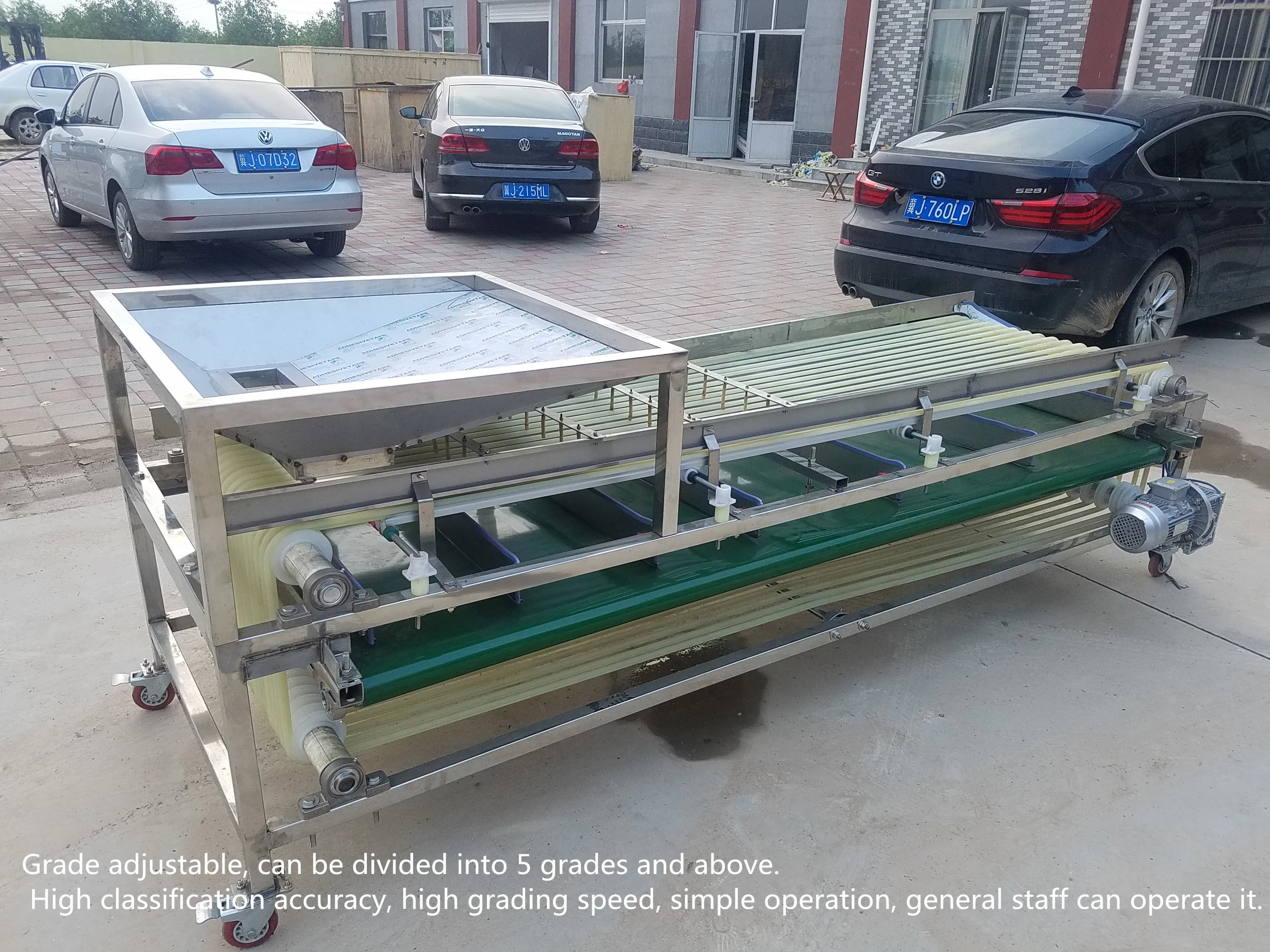 
Medjool date grading machine automatical sorted jujube dattes plums and similar fruit processing 