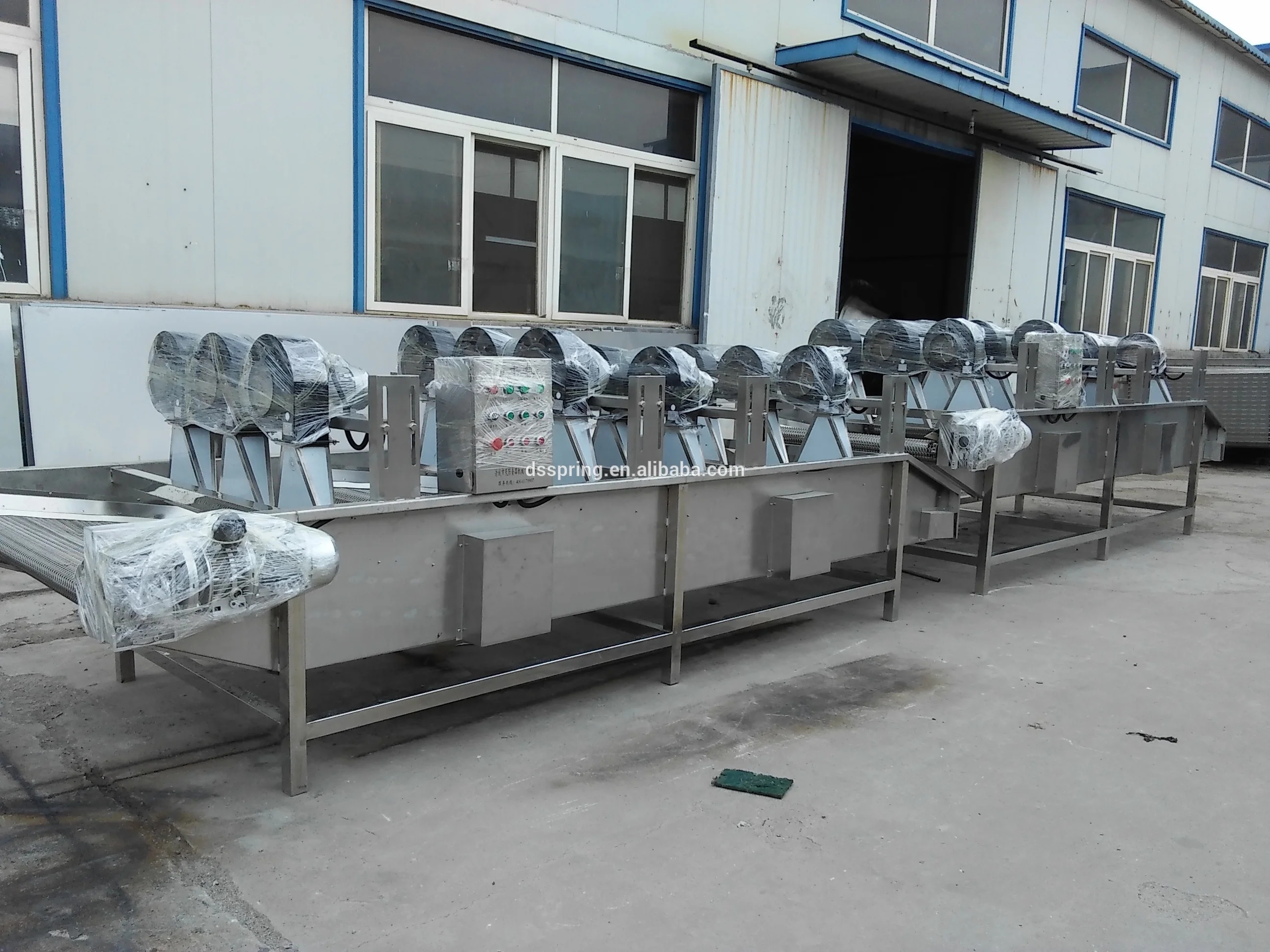 industry onion cucumber Kohlrabi salad leaf vegetable washing equipment cutting grading process machine manufacturer