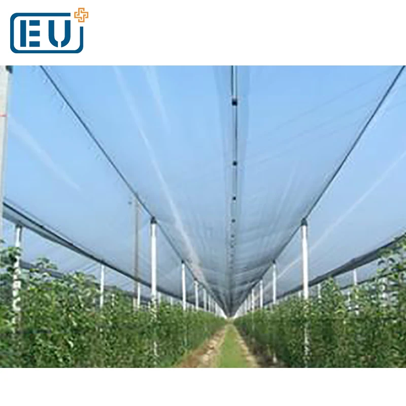 windbreak hail protection net/plastic grape farming anti hail mesh/large plastic vegetables covering material
