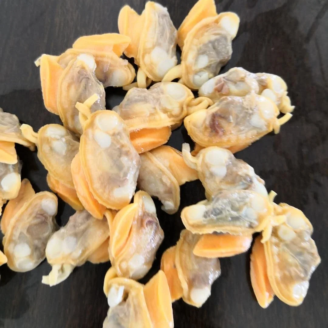 Wholesale Frozen Clams Meat Good Sale Seafood Shell Fish