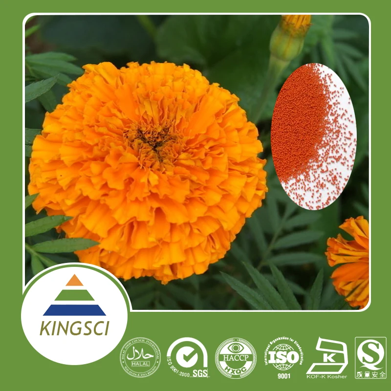 
Marigold Flower Extract Lutein 5% 10% 20% CWS CWD beadlets 