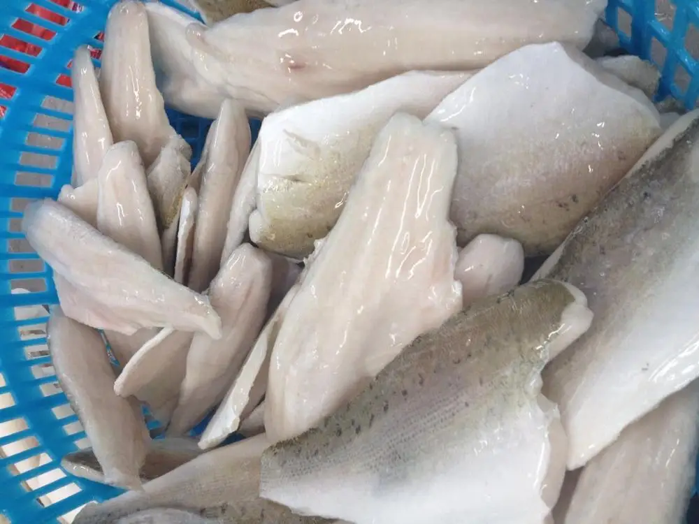 Frozen  Fish whole round for sale  Sea Bass