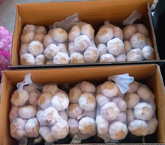 Bull Wholesale ZLM Brand Fresh Garlic For Sale