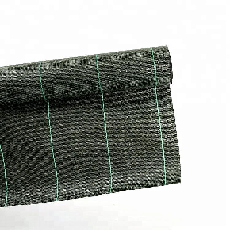 
china wholesale high quality plastic mulch layer with hole anti insect net in malaysia for airport road repair 