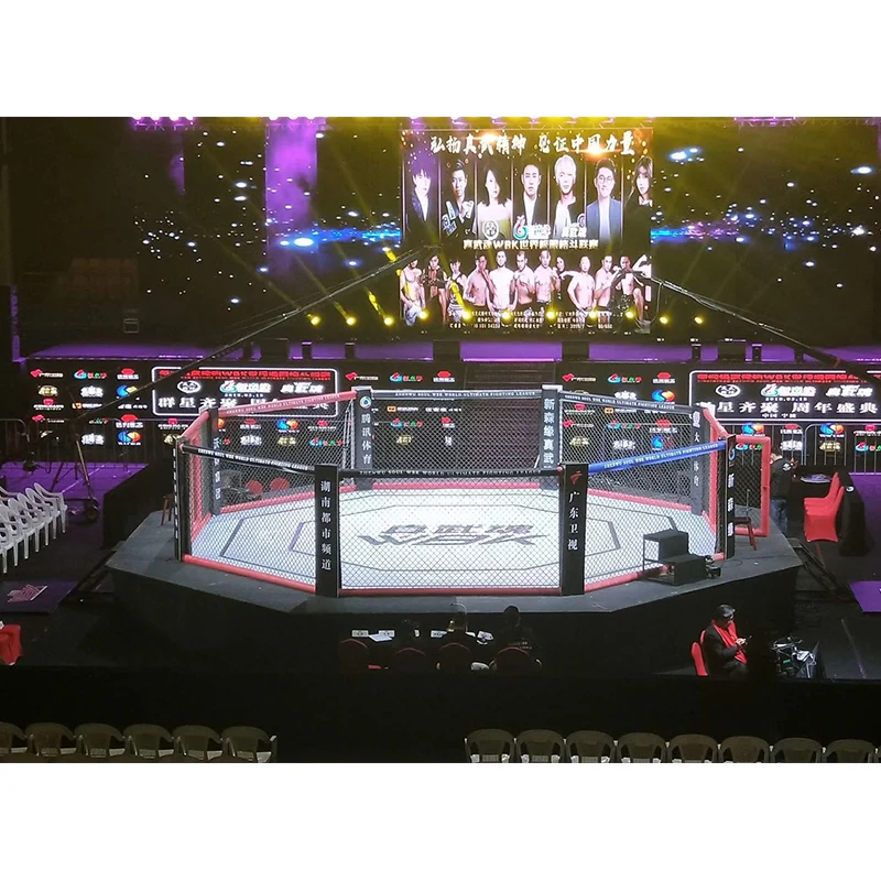 MMA competitive fighting cage pro octagon combat