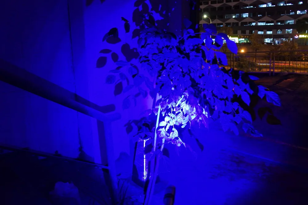 3W Mini Pen Type Blue Light LED Flashlight Hunting Fishing Clip Lamp Blue Beam Torch