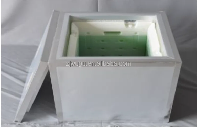 
CCTS-WUGU Cold Chain multipurpose PU foam, VIP board Cooler container with thermometer and recorder 