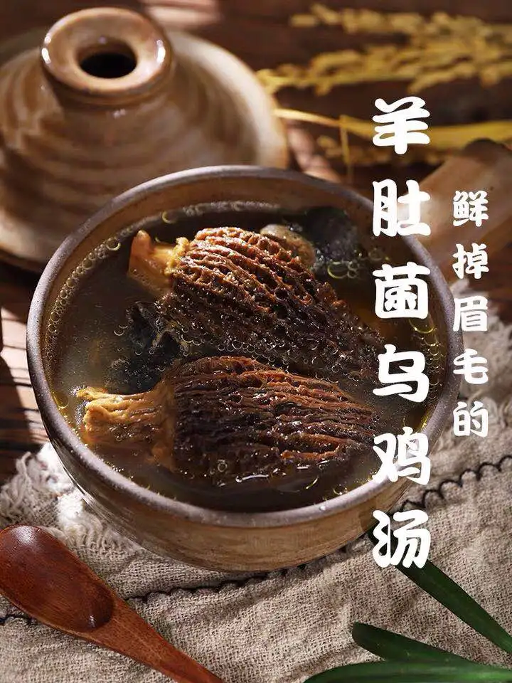 Заводская цена, свежие грибы, Морель, гриб, Морель, мицелий