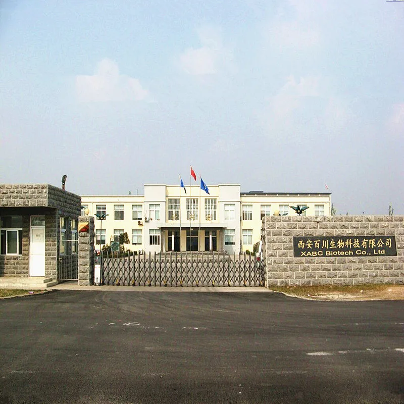 
Pure Natural Catechin Extract 98% Popular Worldwide, Gold Supplier Is Here 