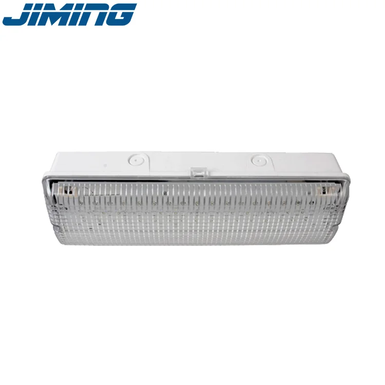 Professional Product Waterproof Emergency Light Self-Maintenance Energy Saving fire safety lights