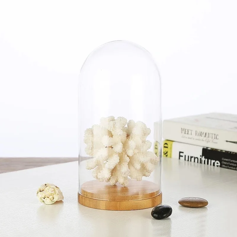 Preserved rose display wholes ale glass dome