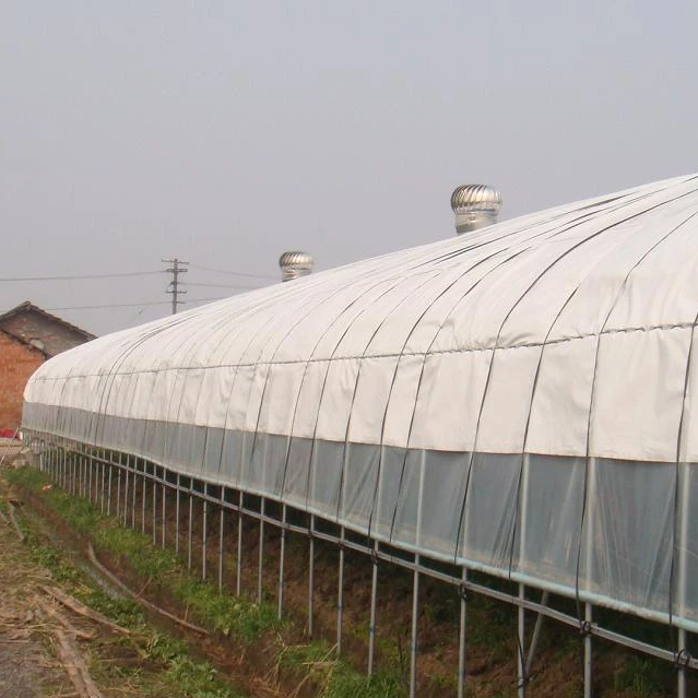 
Good price economical single span tunnel tropical greenhouse 