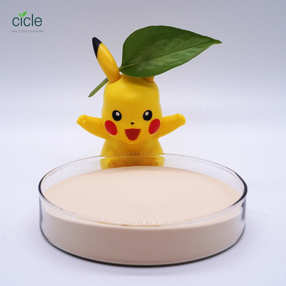 Hot sale Compound Amino acid powder 80% biostimulant enhance plants growth vegetable source