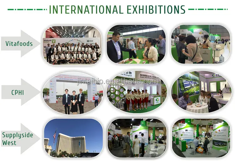 green tea extract polyphenol 98% EGCG 40% catechins