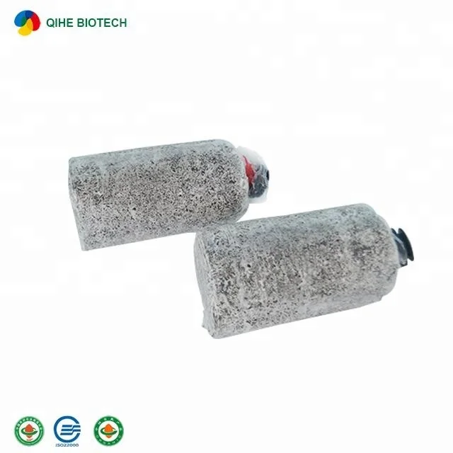 
High Yield Mushroom bags oyster mushroom mycelium for wholesales 