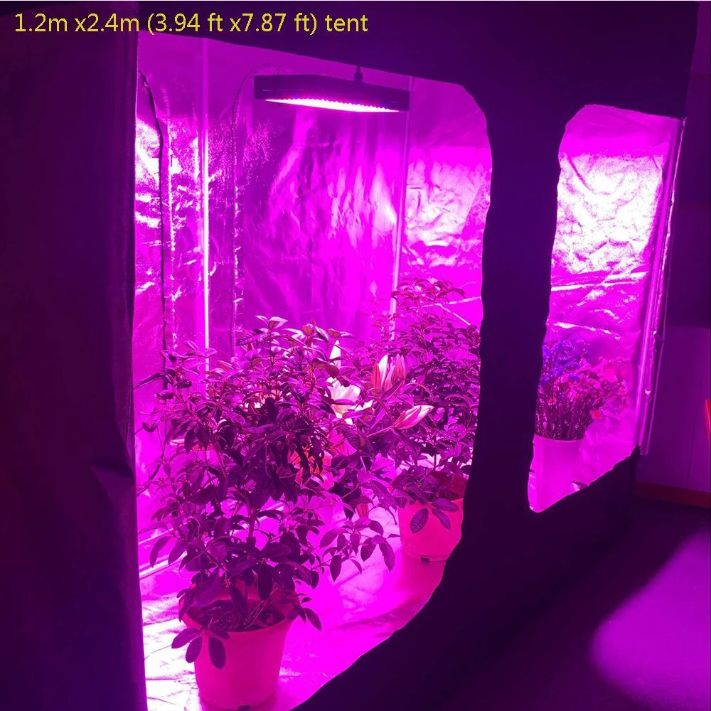 
Bridgelux Epileds Epistar 5w Led Chip 2000w Led Full Spectrum Grow Light 