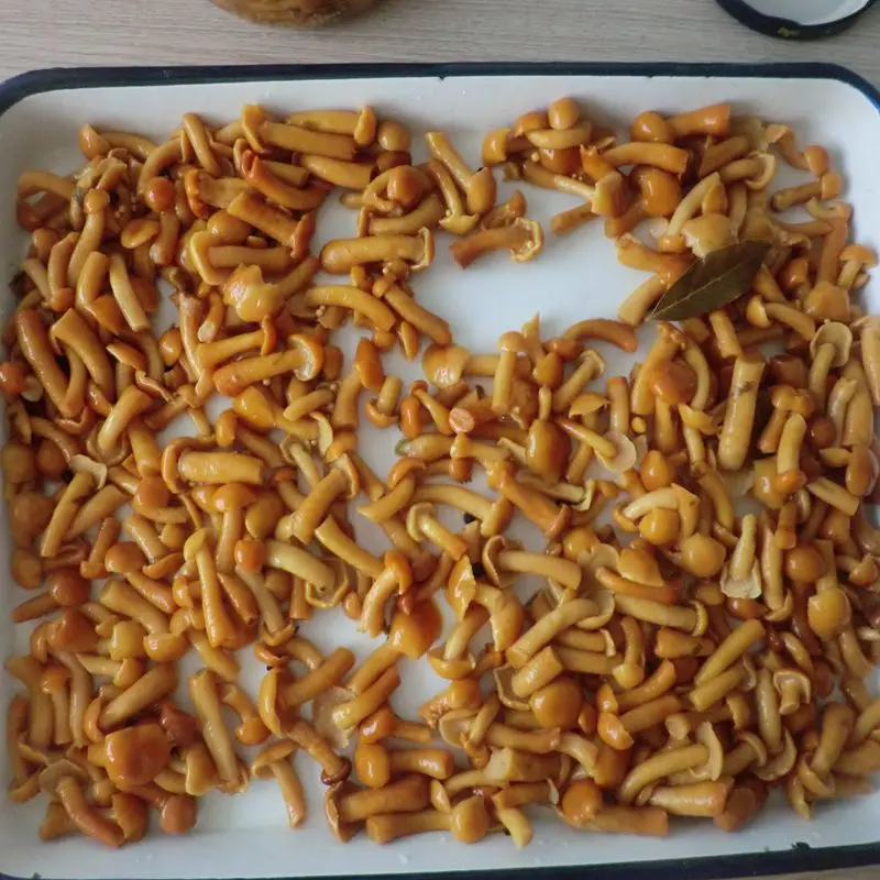 Chinese canned wild nameko mushrooms marinated with fancy quality