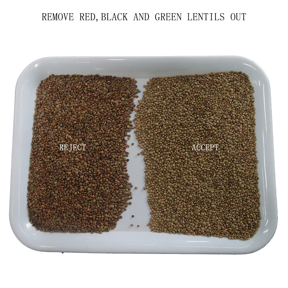 Turkish Lentils Processing Machine Red Split Lentil Color Sorter Sorting Machine