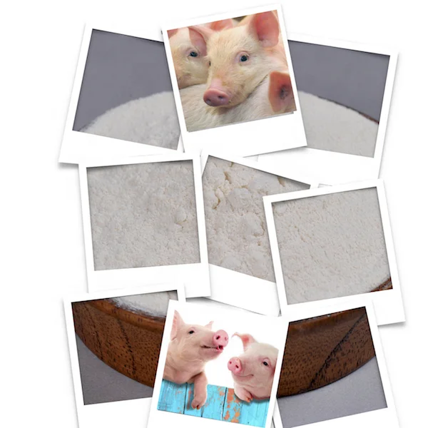 Actifier feed additive for pig growth promoter premix