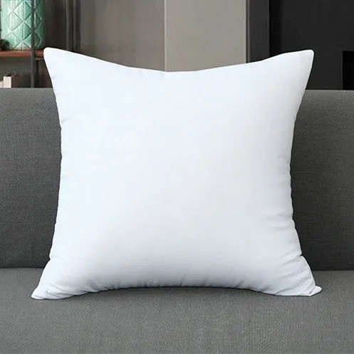 Cheap Pillow Sizes 45x45 50x50 Duck Feather Cushion Inners Wholesale For Sofa