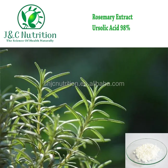 100% natural high quality and low price 25%~98% ursolic acid from Rosemary extract