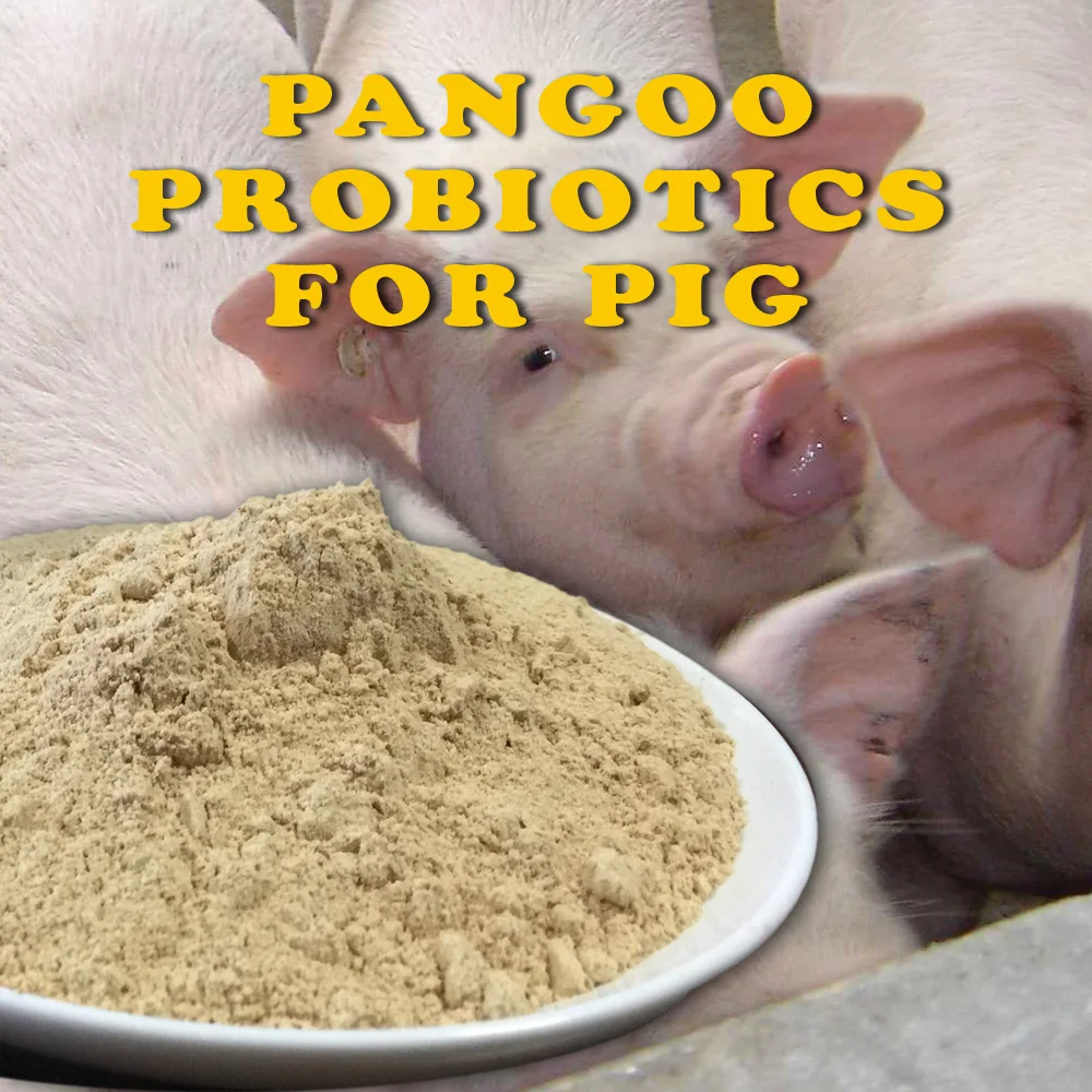 
swine, hoggery, hog, piglet, sow, growing pigs,fattening pigs used lactobacillus acidophilus food supplements 
