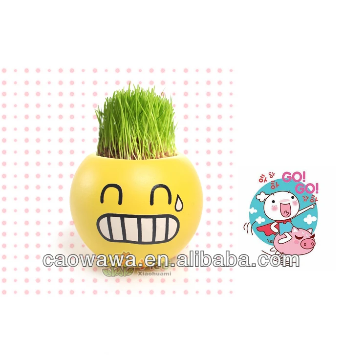 Новейший подарок 2014, горшок, мини-горшки для растений. Смайлик Смех ребенок
