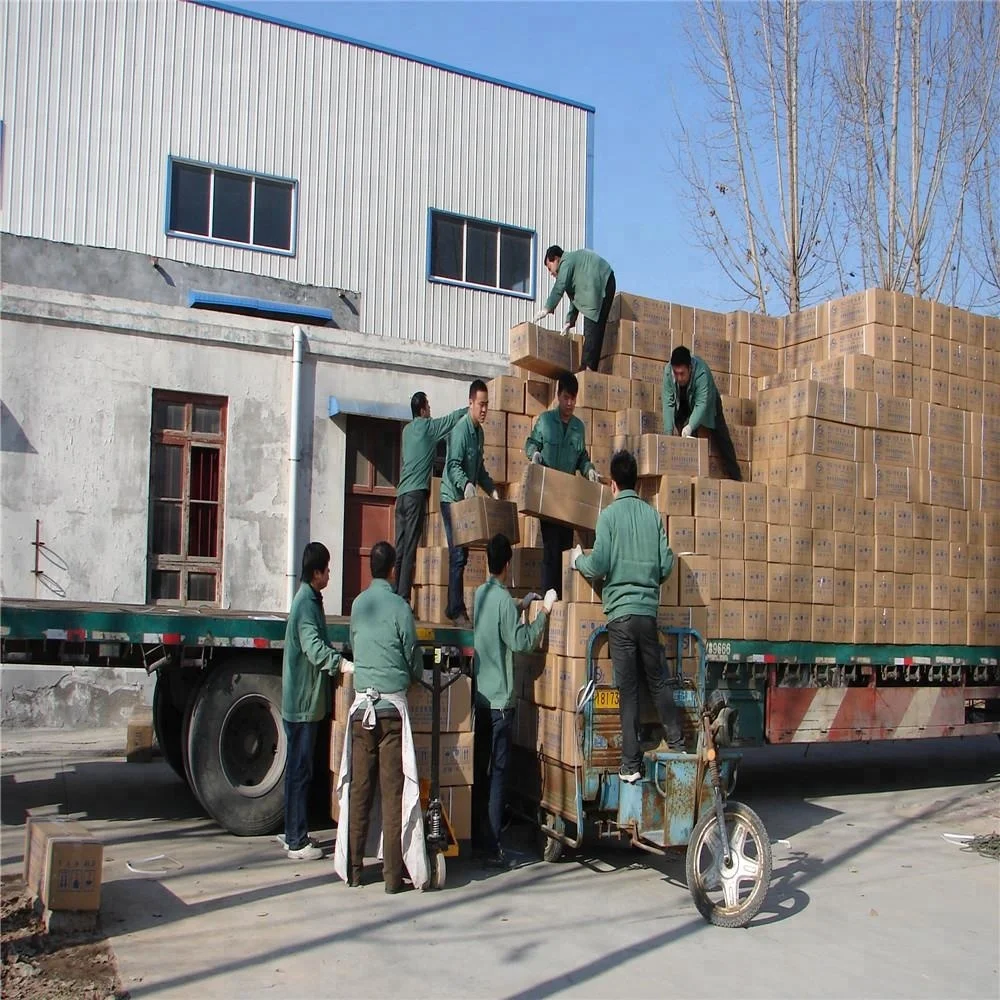 Модель черепа с шейным позвоночником медицинская анатомическая модель черепа