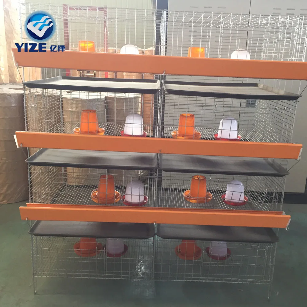 poultry chicken houses(professional manufacturer)